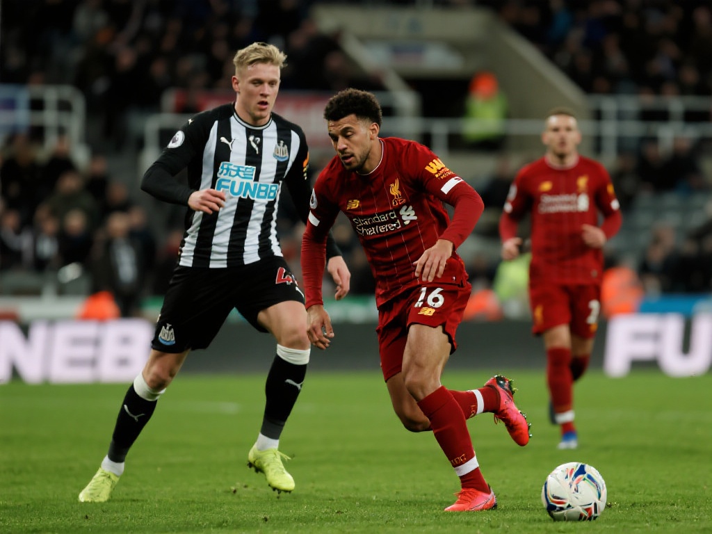 强赛中的细 强赛中的细