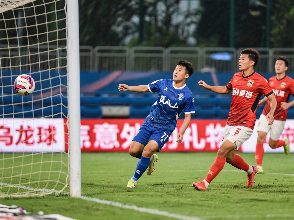 探寻那些冠 探寻那些冠